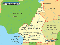 aa cameroun[1]