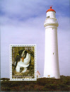 2004b pinguin