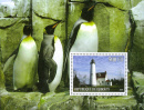 2005a pinguin