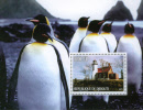 2005b pinguin