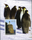 2005c pinguin
