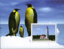 2005d pinguin