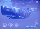 azores mh 23 mh