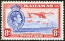 baha115