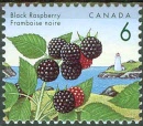 can1311