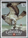 gibral1339