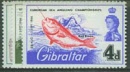 gibral179
