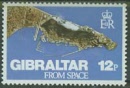 gibral371