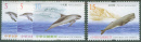 taiwan3185